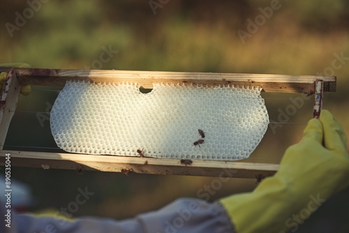 Rural and natural beekeeper, working to collect honey from hives