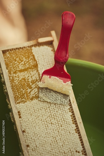 Rural and natural beekeeper, working to collect honey from hives