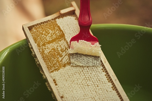 Rural and natural beekeeper, working to collect honey from hives