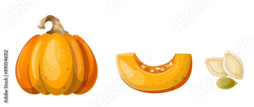Whole pumpkin set, slice, seeds