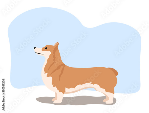 Vector illustration of a Welsh Corgi Pembroke