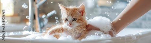 Owner scrubbing a small kitten with gentle shampoo in a bathroom sink filled with soap bubbles photo