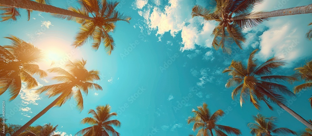 Palm Trees Against a Blue Sky Palm Trees Against a Blue Sky