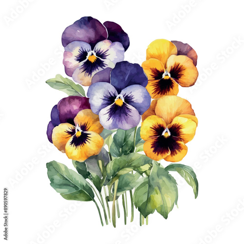 Vector beautiful watercolor bouquet with pink, purple and violet pansy