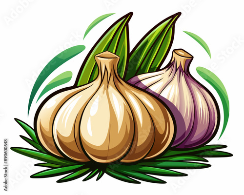 illustration Vector of fresh garlic on isolated white background, vegetabes and fruit cartoon