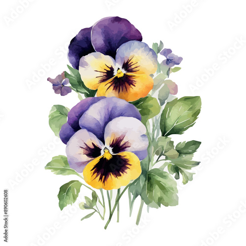 Vector beautiful watercolor bouquet with pink, purple and violet pansy