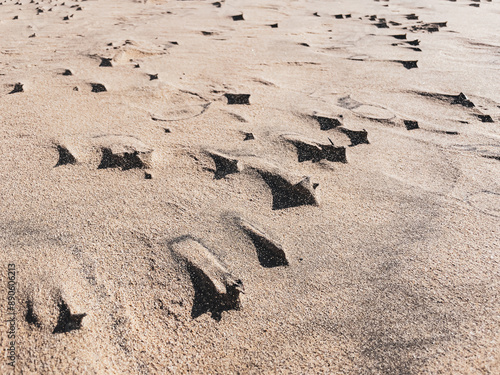 Stones and pebbles catching wind patterns on Sotavento Beach, Costa Calma, Fuerteventura, Spain photo