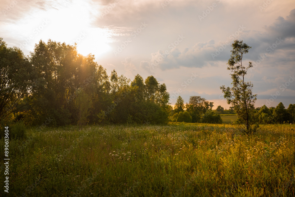 beautiful warm sunset on the background of forest and field beautiful warm sunset on the background of forest and field