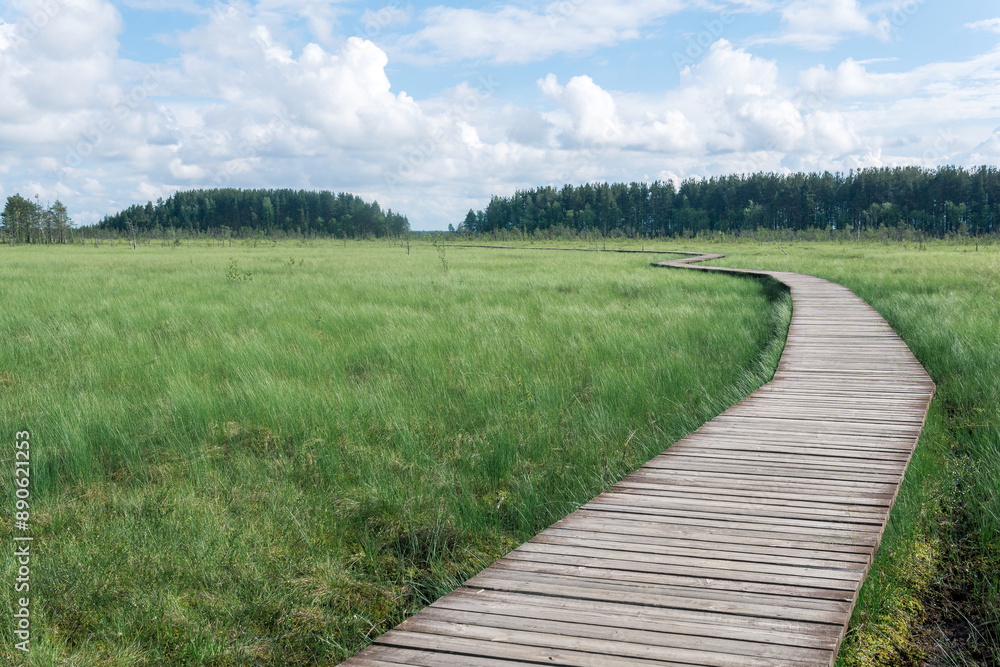 wooden walkways on the tourist route through the swamp, educational nature trail in the protected fen landscape wooden walkways on the tourist route through the swamp, educational nature trail in the protected fen landscape