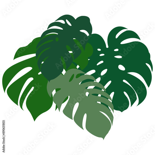 Vector Monstera Leaf. Tropical Vector, Monstera Leaf