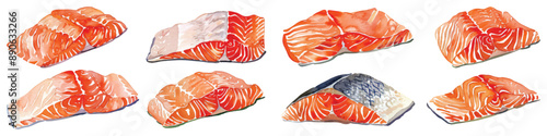 Set collection of Raw sliced salmon fillet hand drawn watercolor design resources elements