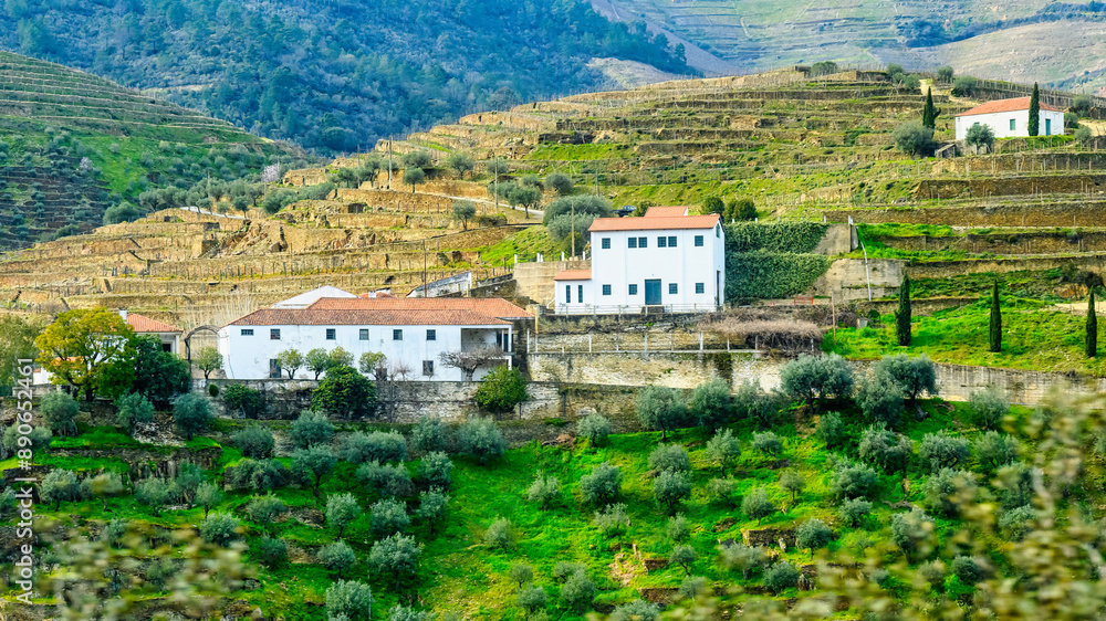 Naklejka premium Agricultural building in Douro Valley, Portugal