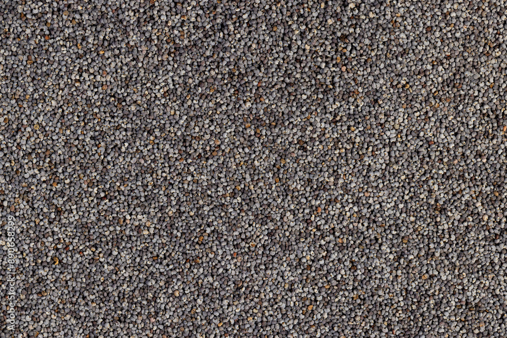 scattered poppy seeds for cooking scattered poppy seeds for cooking