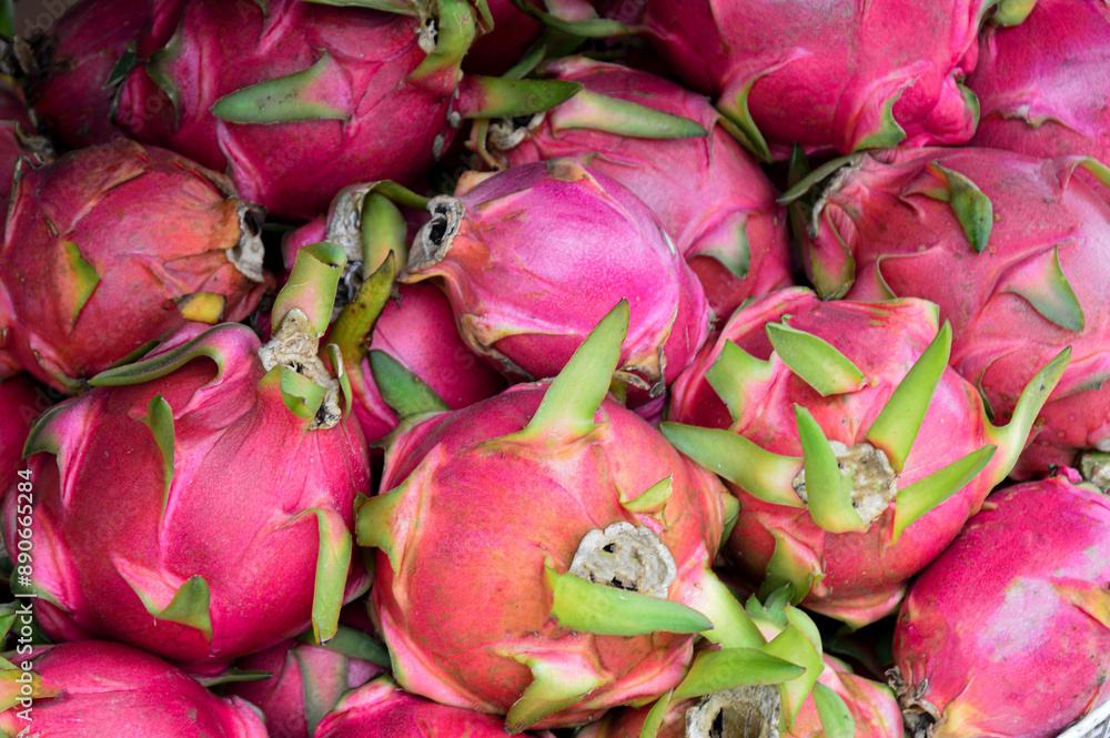 dragon fruit fruit It is very popular to eat. in South Asia dragon fruit fruit It is very popular to eat. in South Asia