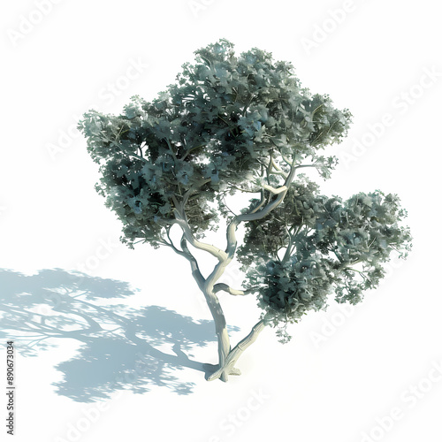 Realistic Isometric Tree Render – High-Resolution Stock Image