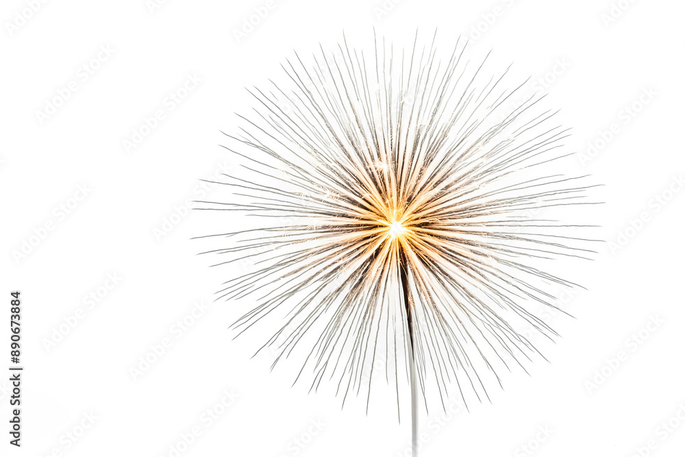 Obraz premium Sparkling Dandelion Seedhead with White Background