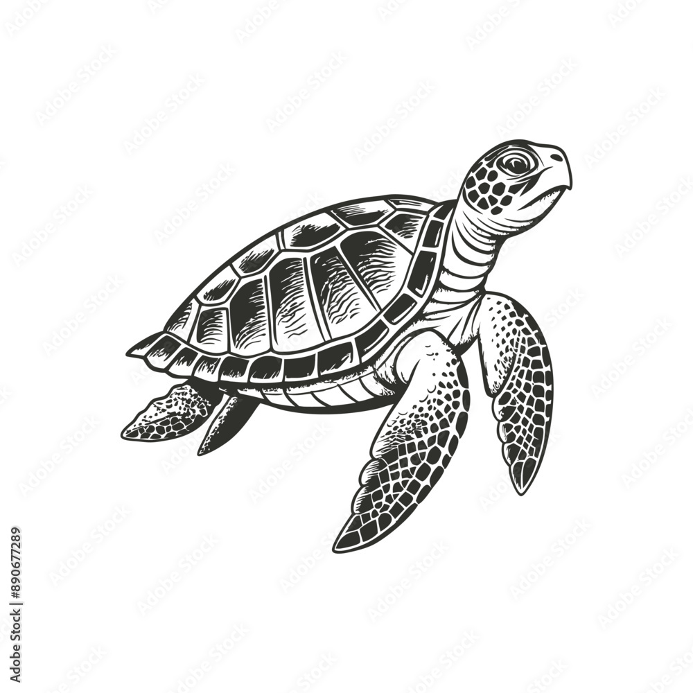 Obraz premium sea turtle engraving hand drawn illustration isolated white background