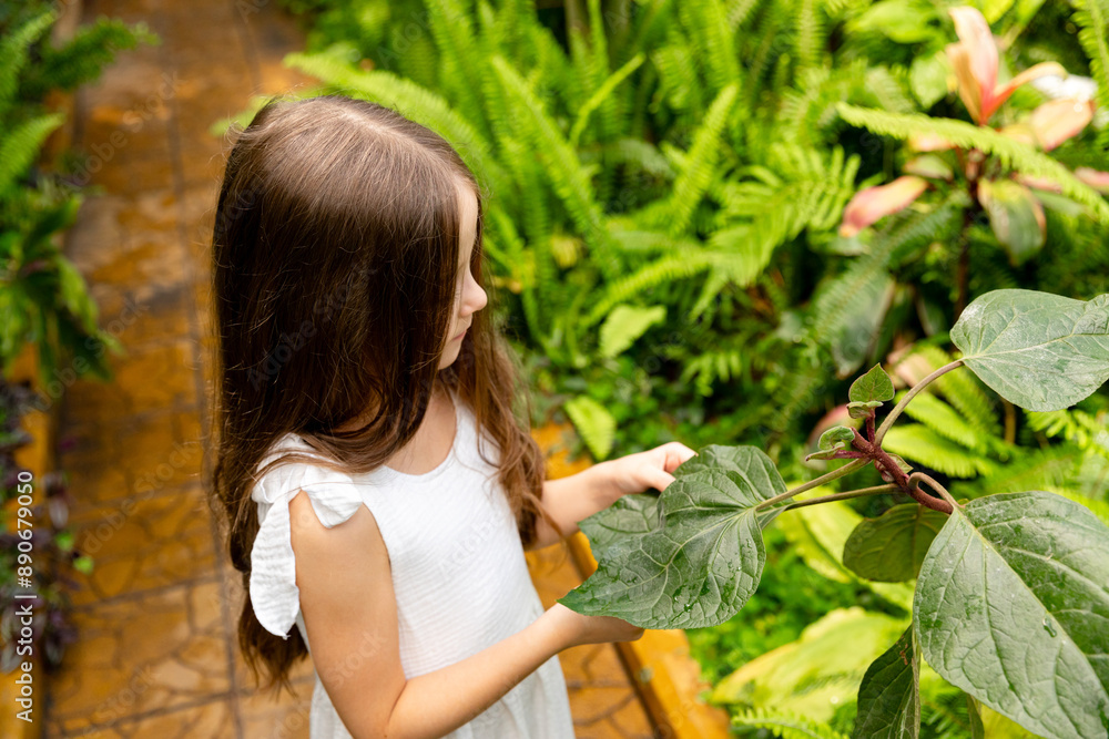 Top view happy smiling little curly hair girl in white summer dress walking in tropical botanical garden, study and look green leaves. Childhood and nature concept Top view happy smiling little curly hair girl in white summer dress walking in tropical botanical garden, study and look green leaves. Childhood and nature concept