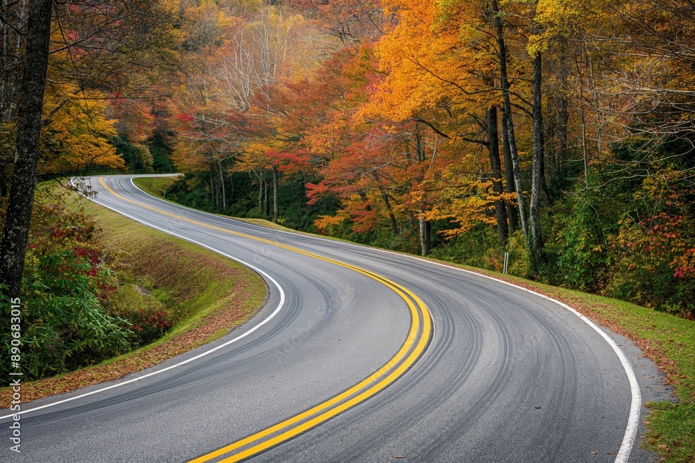 Fototapeta premium A curvy road with trees in the background. Road to somewhere concept