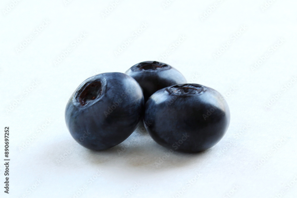 fresh blueberries or bilberry fruit isolated on white background,copy space fresh blueberries or bilberry fruit isolated on white background,copy space