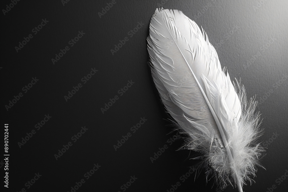 Obraz premium White feather on a black background, in a close-up. Soft and delicate texture of the bird's wing with space for text.