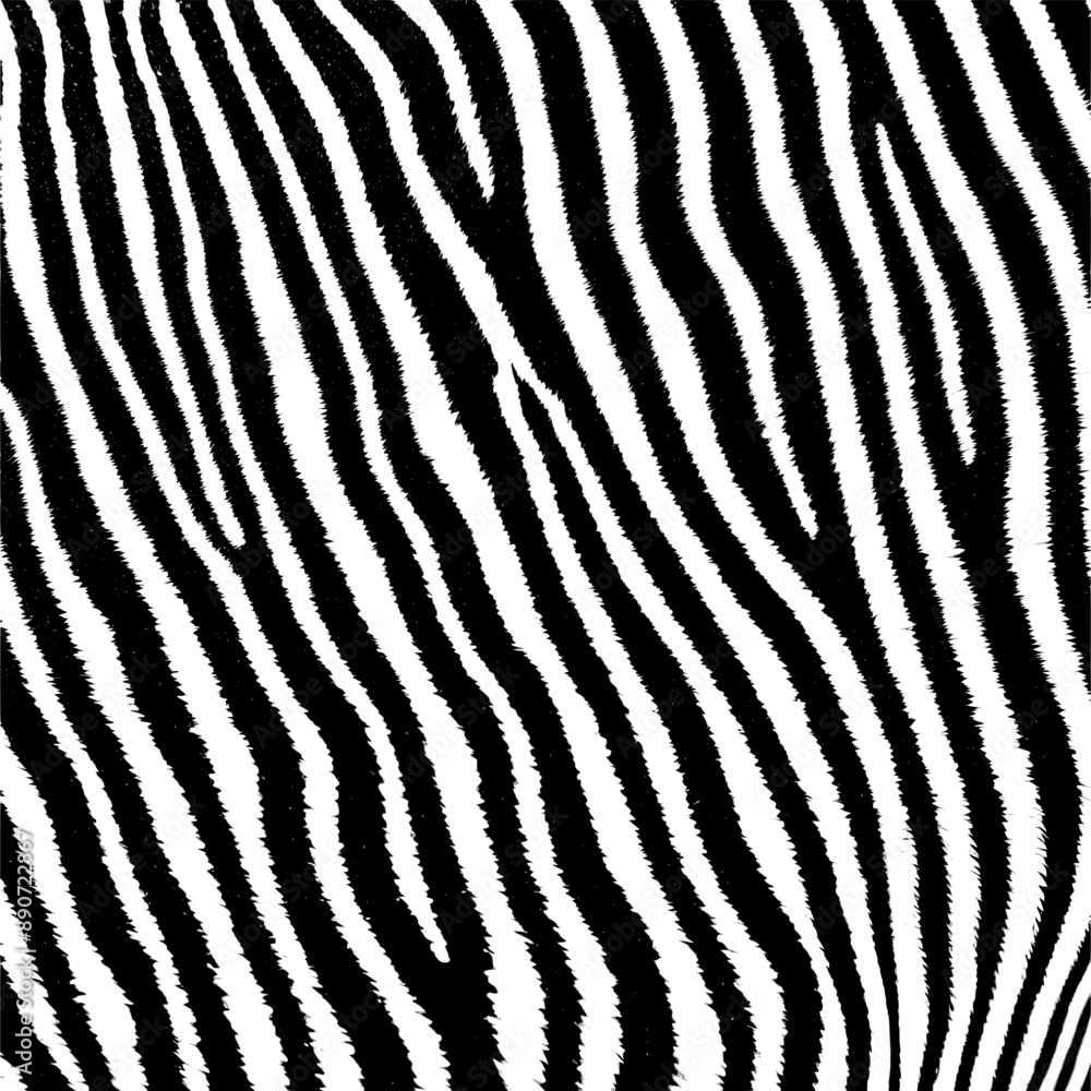 zebra skin pattern - black and white (artwork 1) zebra skin pattern - black and white (artwork 1)