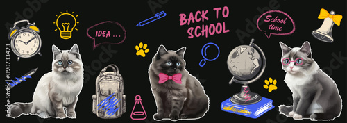 Back to school Set of cats in halftone collage style with naive doodle school supplies . Trending collage style. Learning Concept. Grunge punk surreal poster, collage template vintage photocopy effect