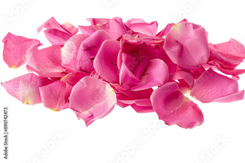 Bright pink rose petals in free fall, isolated on a clean white background, showcasing their delicate beauty and rich color