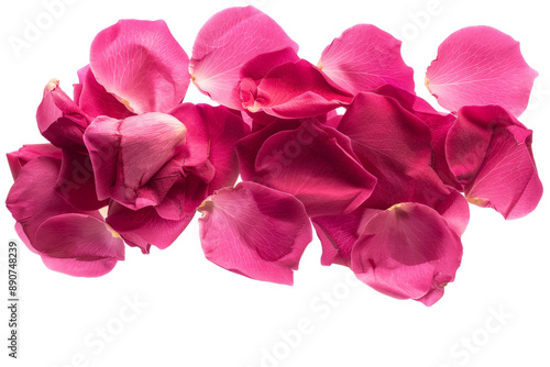Photograph of bright pink rose petals suspended in mid-air, isolated on a white background, emphasizing their lightness and beauty