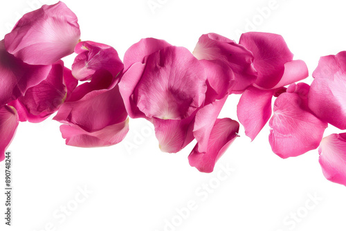 Photograph of bright pink rose petals suspended in mid-air, isolated on a white background, emphasizing their lightness and beauty