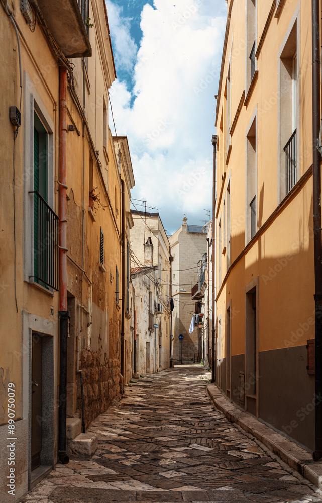 Fototapeta premium The city of AltaMura in Italy