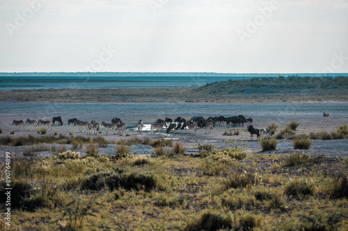 flock of gnoes in the marsh