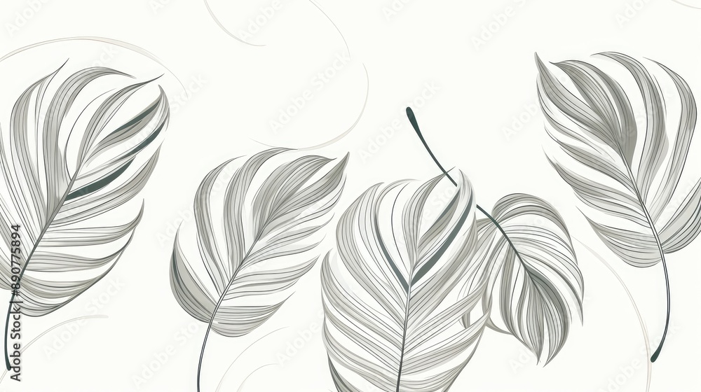 black and white background black and white background
