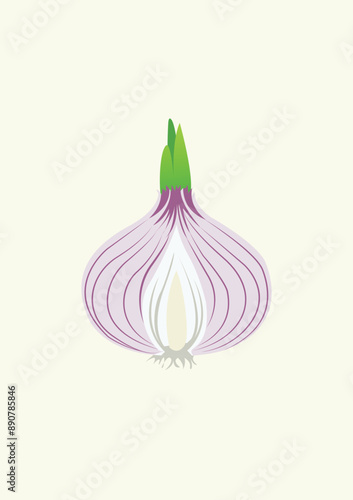 Onion