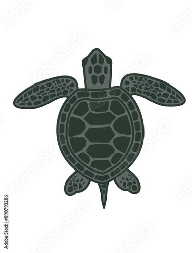Green sea turtle vector Illustration