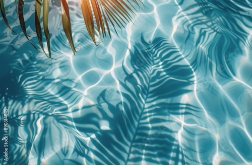 Palm Fronds Casting Shadows on Pool Water During Sunny Day