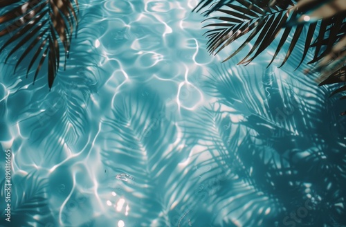 Palm Tree Shadows on Rippling Pool Water