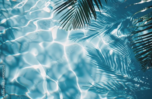 Palm Fronds Overlapping Crystal Clear Pool Water