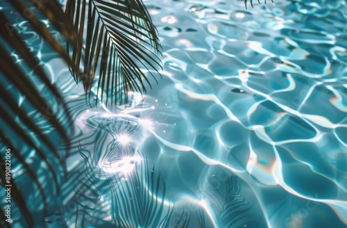 Palm Fronds Overlapping Crystal Clear Pool Water