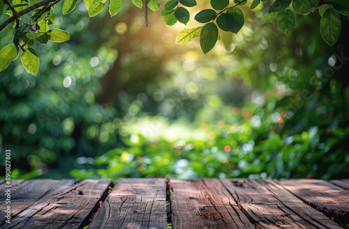 Wooden Tabletop In Front Of Blurred Green Forest With Sunlight