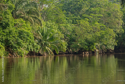 Rio Frio river in the Cano Negro nature reserve in Costa Rica