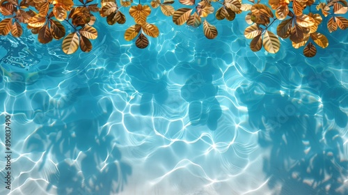 Top view of tropical leaf shadow on water surface. Shadow of palm leaves on white sand beach. Beautiful abstract background concept banner for summer vacation at the beach,goldern hours golden sand photo