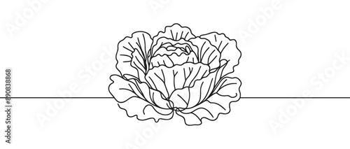 Head lettuce in continuous line art drawing style. Iceberg or crisp head lettuce design isolated on white background. Vector illustration