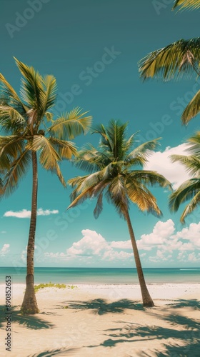 Serene tropical beach lined with swaying palm trees beneath a clear blue sky, inviting tranquility and escape.