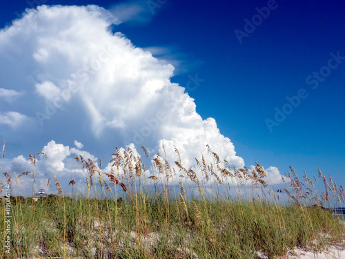 Fotografi sea oats and fluffy white clouds on the beach