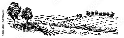 farmland pasture line engraving black and white outline