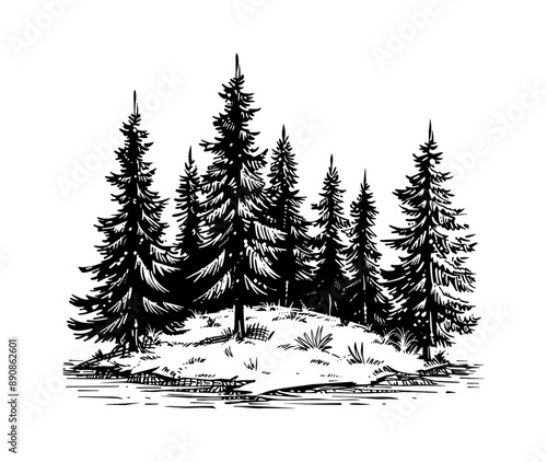 pine forest engraving black and white outline