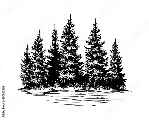 pine forest engraving black and white outline