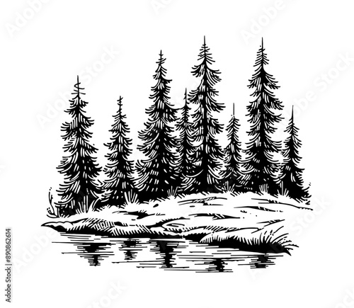 pine forest engraving black and white outline