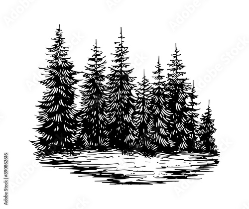 pine forest engraving black and white outline